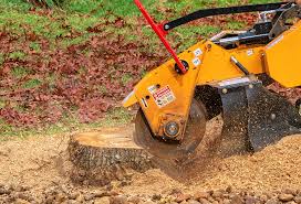 Best Soil Testing and Treatment  in Edgecliff Village, TX