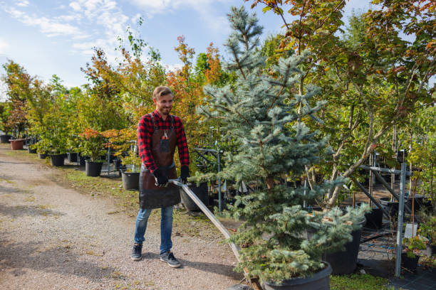 Best Lawn Watering Services  in Edgecliff Village, TX